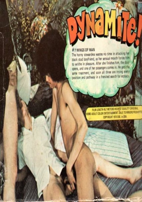 Dynamite 7 – Wings of Man